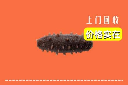 收购资讯:南充市营山回收海参