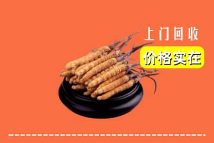 南充市营山回收冬虫夏草