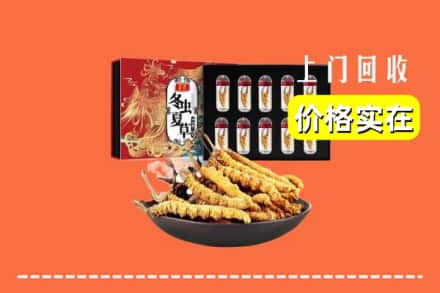 南充市营山回收虫草